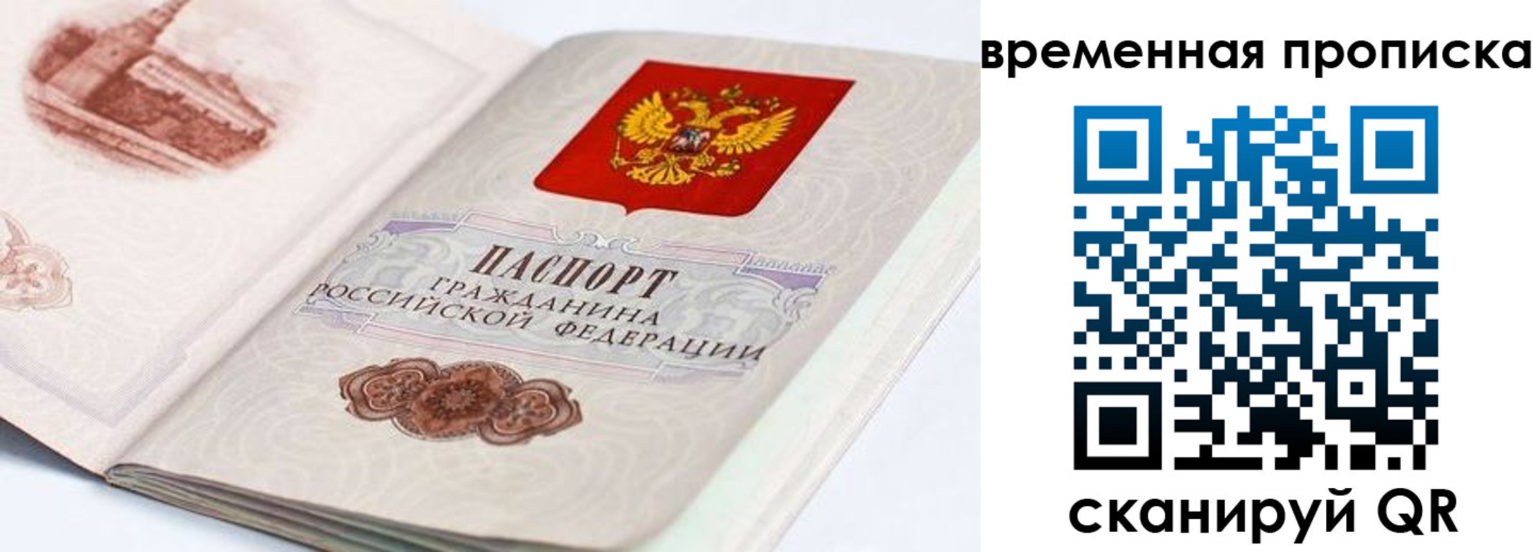 прописка 2025 в Брянской области